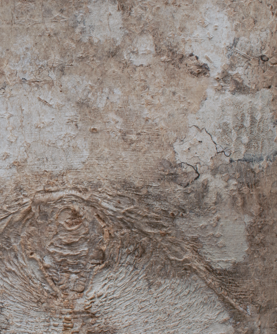 うつろい UTSUROI